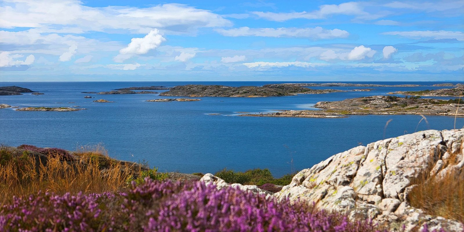 The Koster Islands: Exploring Sweden's Only Marine National Park