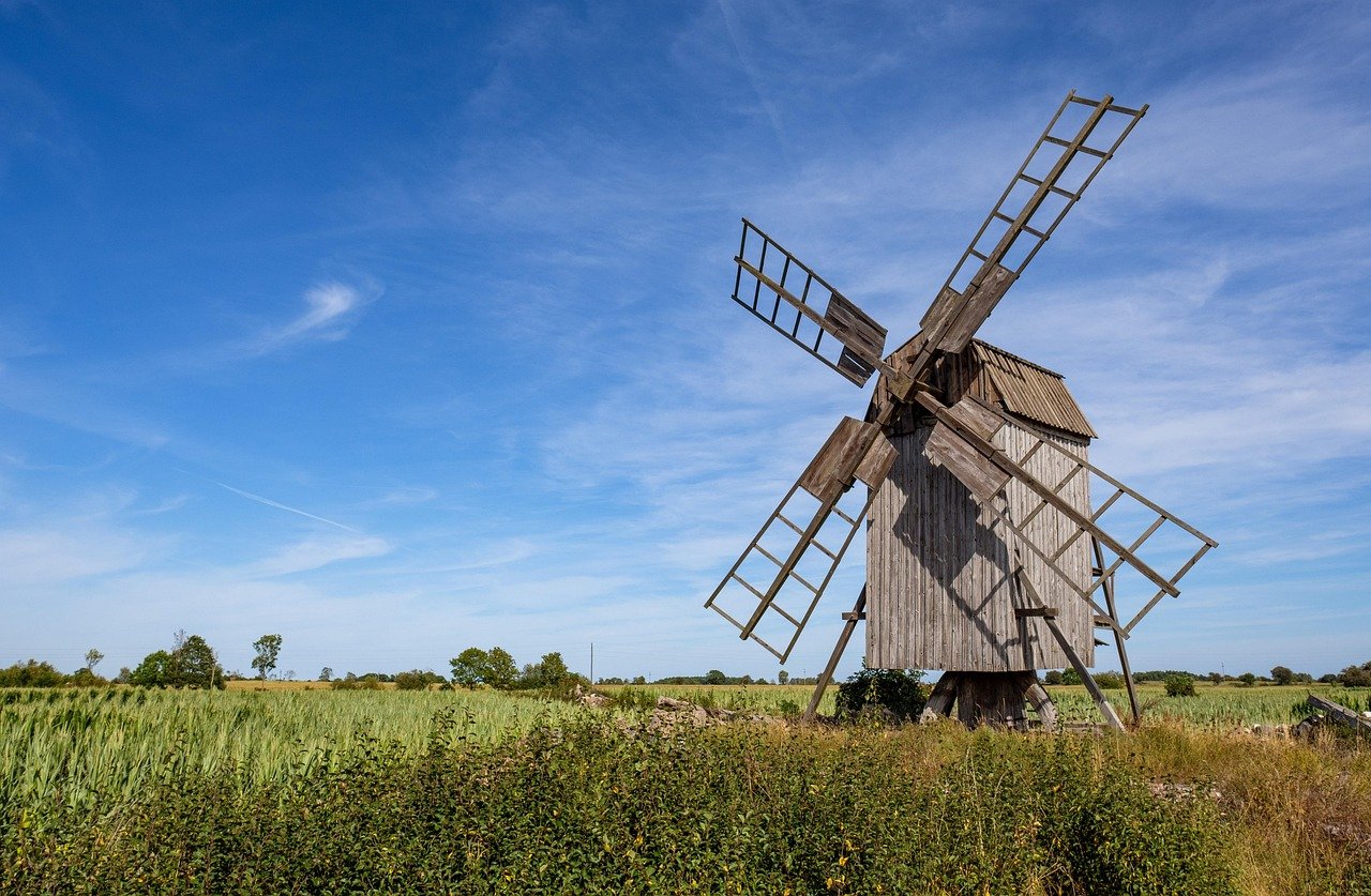 Öland by Car: A July Road Trip to Sweden's Sunny (and Windy!) Island