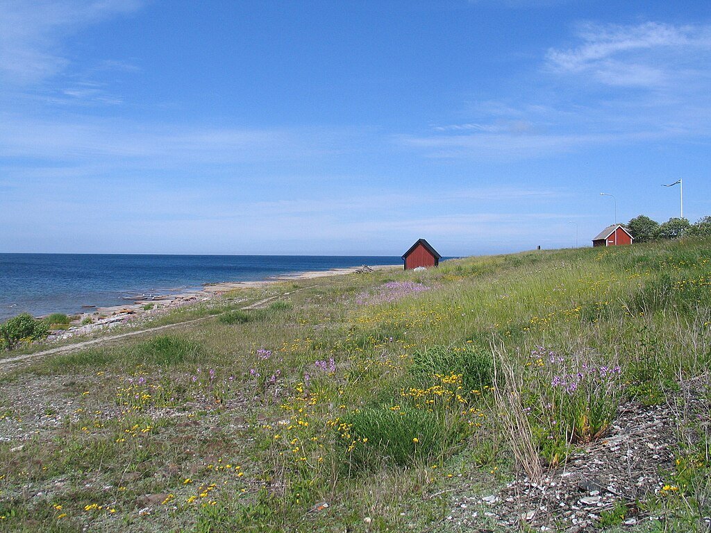 image_1