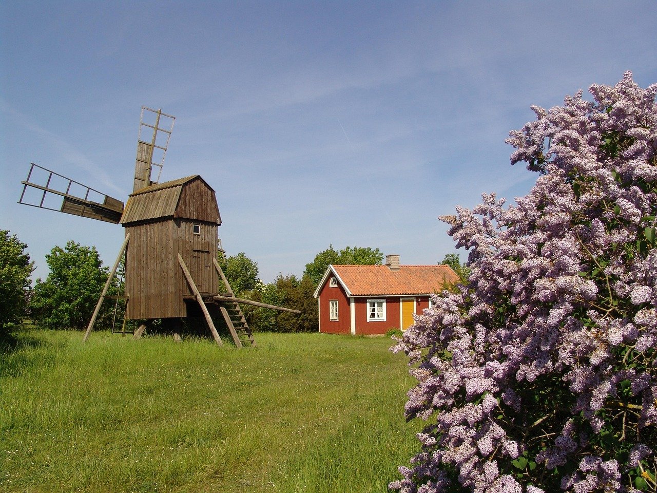 image_4