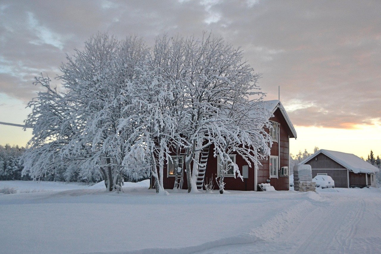 Hero image for Guide to Winter in Sweden